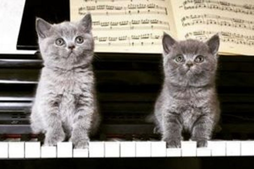 Két kismacska a zongorán