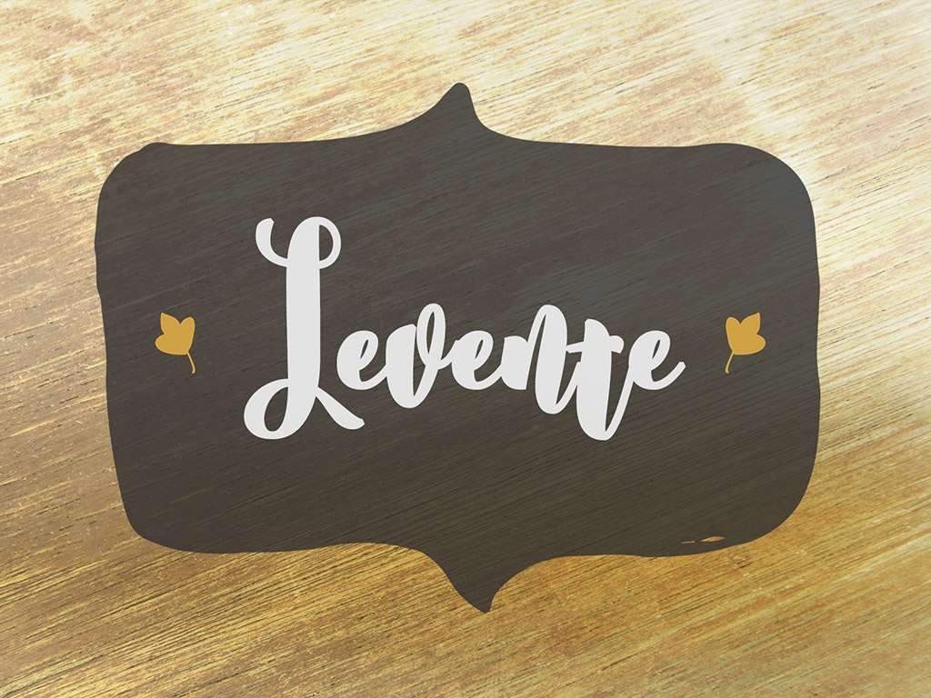 Levente