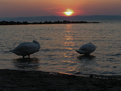 Balaton, Magyarország háttérkép