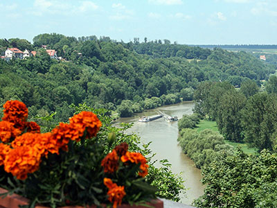 Bad Wimpfen, Baden-Württemberg, Németország háttérkép