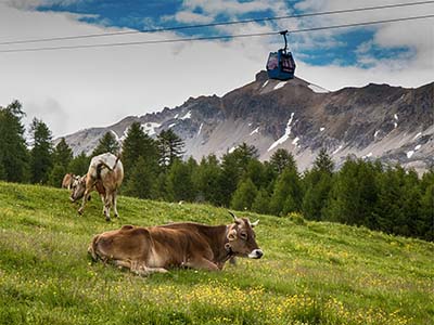 Livigno, Olaszország háttérkép