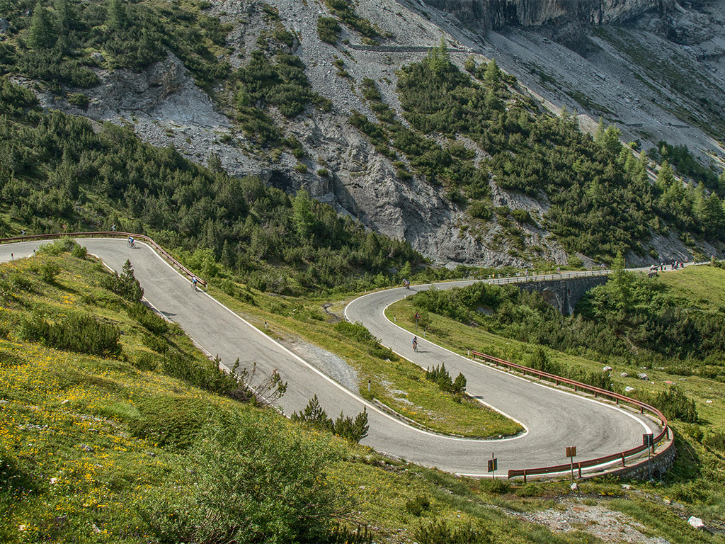 Passo dello Stelvio, Alpok