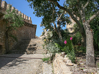 Mallorca, Spanyolország háttérkép