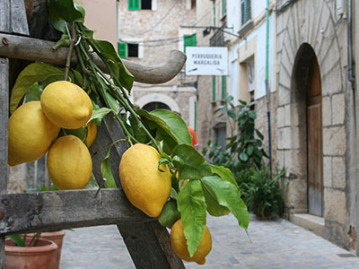 Mallorca, Spanyolország háttérkép