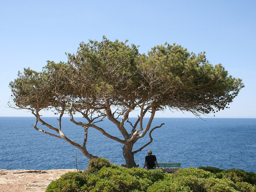 Mallorca