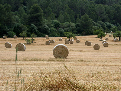 Mallorca, Spanyolország háttérkép