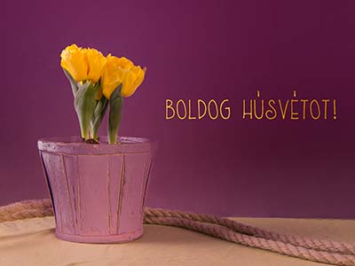 Boldog Húsvétot!