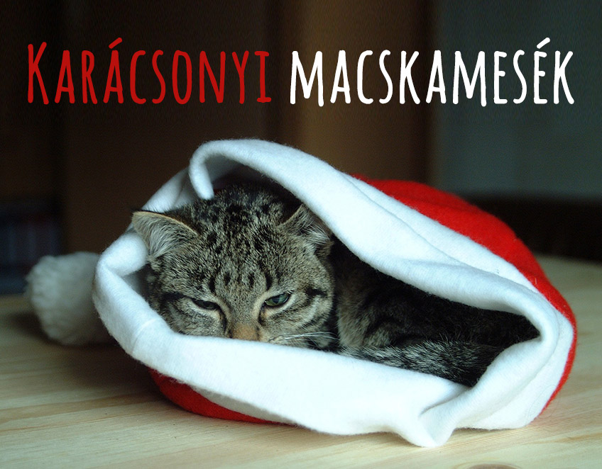 Karácsonyi macskamesék